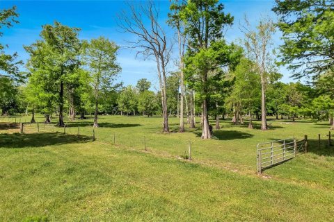 Land in Astatula, Florida № 1765728 - photo 3