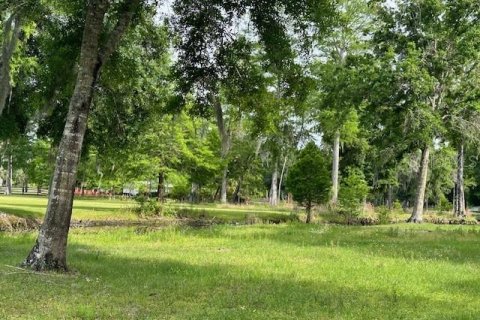 Land in Astatula, Florida № 1765728 - photo 15