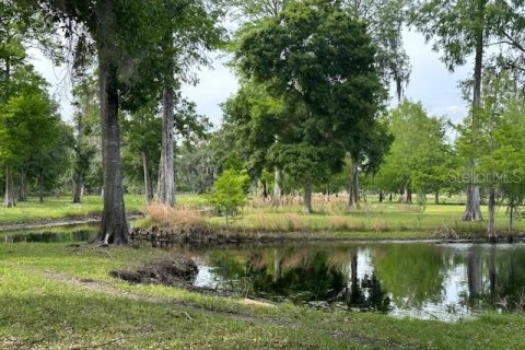 Land in Astatula, Florida № 1765728 - photo 28