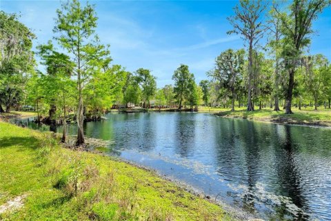 Land in Astatula, Florida № 1765728 - photo 6