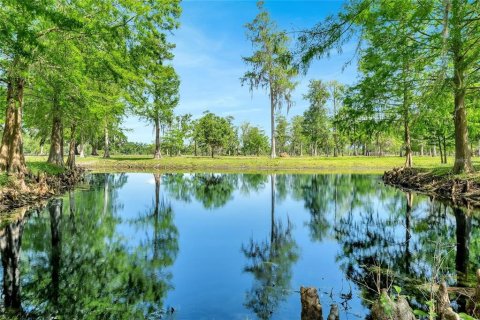 Land in Astatula, Florida № 1765728 - photo 5