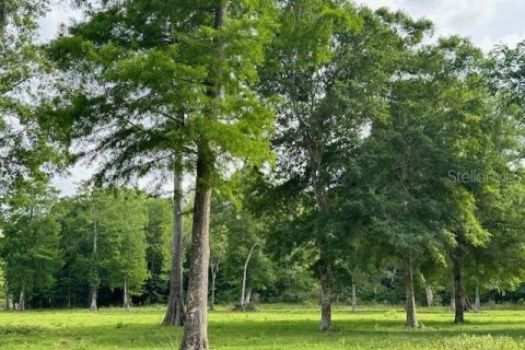 Land in Astatula, Florida № 1765728 - photo 22
