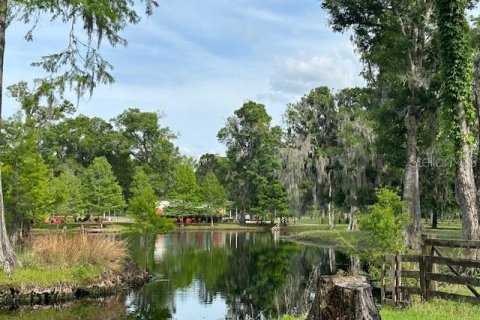 Land in Astatula, Florida № 1765728 - photo 18
