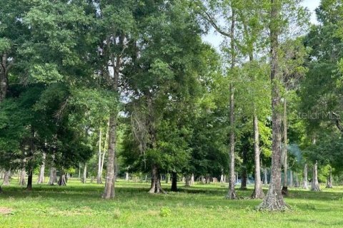 Land in Astatula, Florida № 1765728 - photo 21