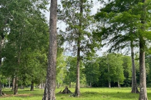 Land in Astatula, Florida № 1765728 - photo 24