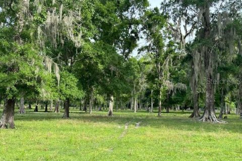 Land in Astatula, Florida № 1765728 - photo 19