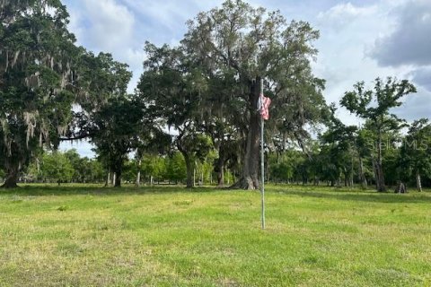 Land in Astatula, Florida № 1765728 - photo 9