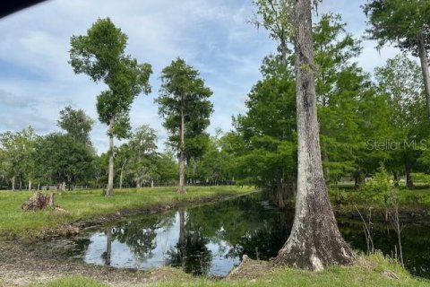 Land in Astatula, Florida № 1765728 - photo 29