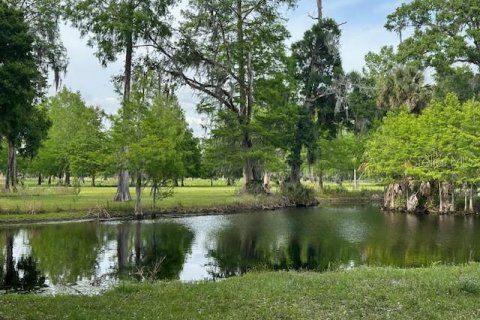 Land in Astatula, Florida № 1765728 - photo 27