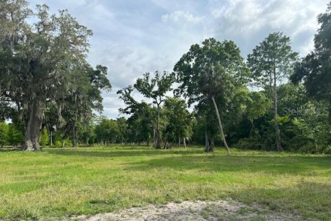 Land in Astatula, Florida № 1765728 - photo 12