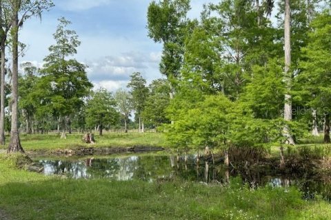 Land in Astatula, Florida № 1765728 - photo 17