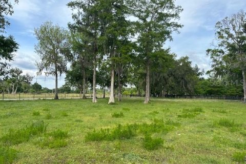 Land in Astatula, Florida № 1765728 - photo 30