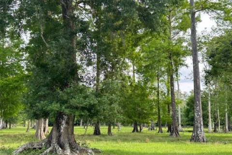 Land in Astatula, Florida № 1765728 - photo 20