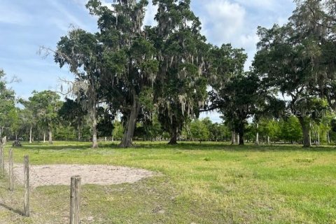Land in Astatula, Florida № 1765728 - photo 10