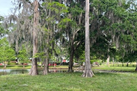 Land in Astatula, Florida № 1765728 - photo 25