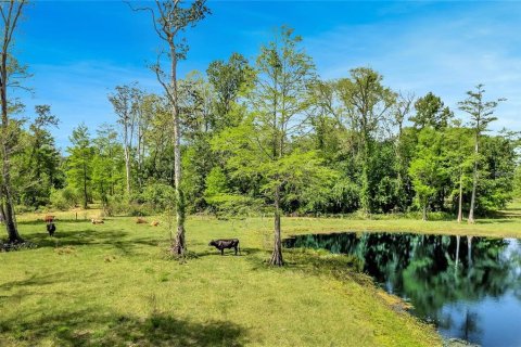 Land in Astatula, Florida № 1765728 - photo 1
