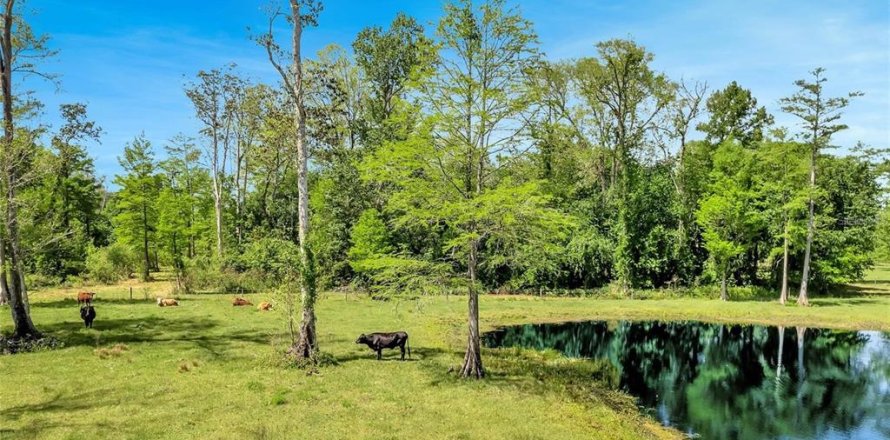 Land in Astatula, Florida № 1765728