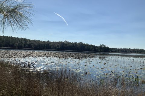 Land in Interlachen, Florida № 765467 - photo 1
