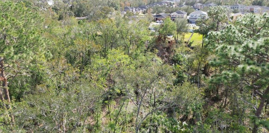 Terrain à Riverview, Floride № 1875909
