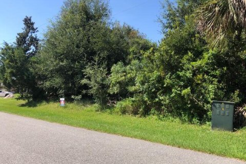 Land in Palm Coast, Florida № 766171 - photo 1
