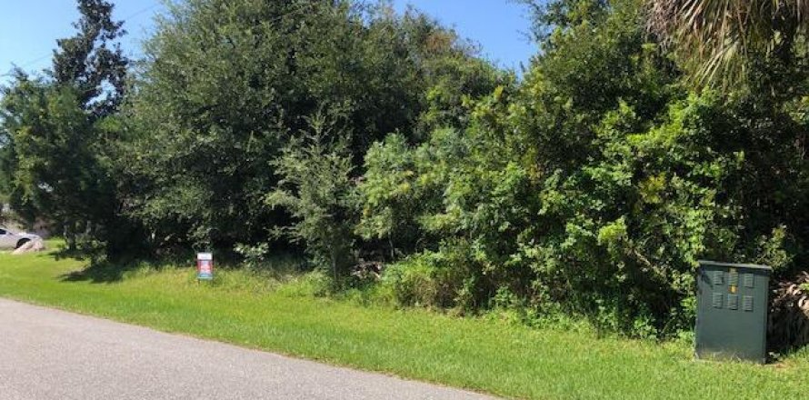 Land in Palm Coast, Florida № 766171