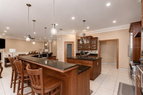 House in Valrico, Florida 4 bedrooms, 351.54 sq.m. № 2151202 - photo 12