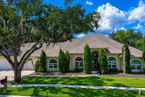 House in Valrico, Florida 4 bedrooms, 351.54 sq.m. № 2151202