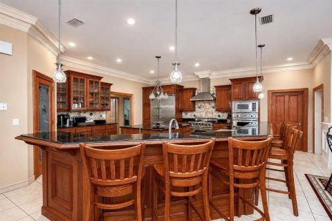 House in Valrico, Florida 4 bedrooms, 351.54 sq.m. № 2151202 - photo 9