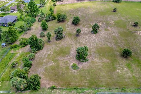 Terreno en venta en Astatula, Florida № 1791192 - foto 17