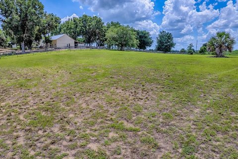 Terreno en venta en Astatula, Florida № 1791192 - foto 1