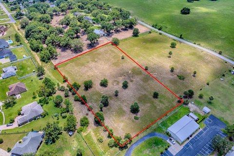 Terreno en venta en Astatula, Florida № 1791192 - foto 20