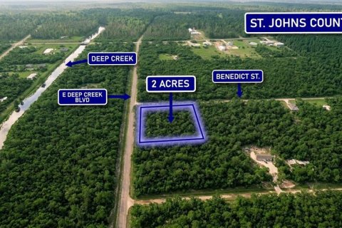 Terreno en venta en Hastings, Florida № 2165561 - foto 2