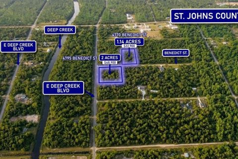 Terreno en venta en Hastings, Florida № 2165561 - foto 6