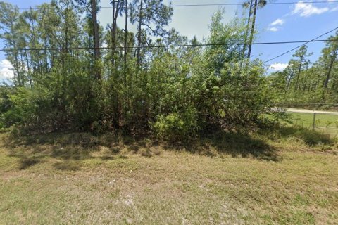 Terreno en venta en Naples, Florida № 1845350 - foto 2