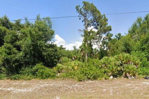 Land in Rotonda, Florida № 2159608 - photo 3