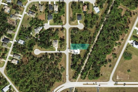 Land in Rotonda, Florida № 2159608 - photo 6