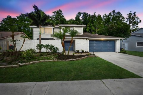 House in Tampa, Florida 4 bedrooms, 206.8 sq.m. № 1805788 - photo 1
