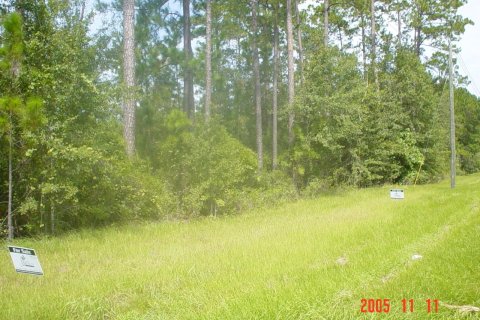 Commercial property in Macclenny, Florida № 765343 - photo 1