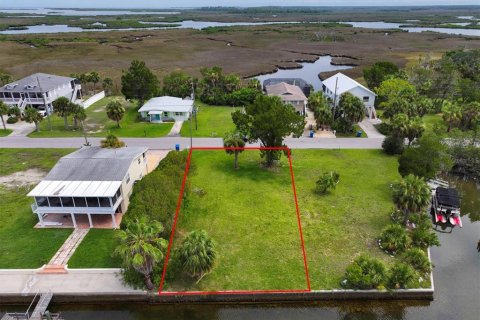 Land in Hernando Beach, Florida № 1833146 - photo 1