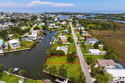 Land in Hernando Beach, Florida № 1833146 - photo 6