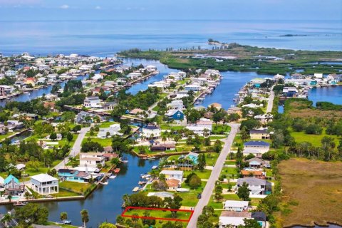 Land in Hernando Beach, Florida № 1833146 - photo 4