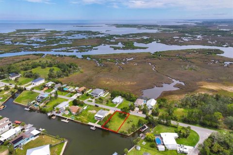Land in Hernando Beach, Florida № 1833146 - photo 7