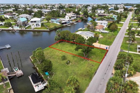 Land in Hernando Beach, Florida № 1833146 - photo 8