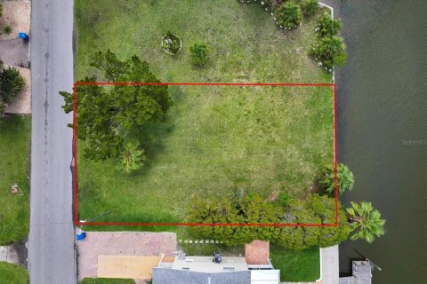 Land in Hernando Beach, Florida № 1833146 - photo 11