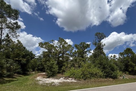 Land in Port Charlotte, Florida № 2159131 - photo 2