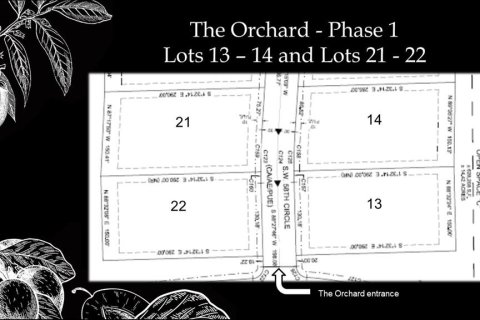 Land in Archer, Florida № 214090 - photo 5