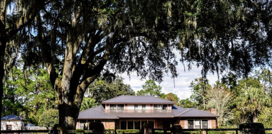 House in Palatka, Florida 4 bedrooms, 325.07 sq.m. № 929135