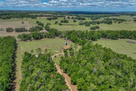 Купить виллу или дом в Дейд-Сити, Флорида 6 комнат, 162.58м2, № 1644262 - фото 8