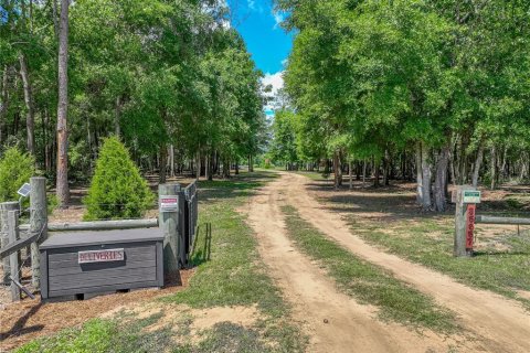Купить виллу или дом в Дейд-Сити, Флорида 6 комнат, 162.58м2, № 1644262 - фото 10