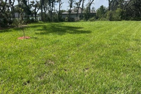 House in Kissimmee, Florida 3 bedrooms, 151.52 sq.m. № 1847967 - photo 13